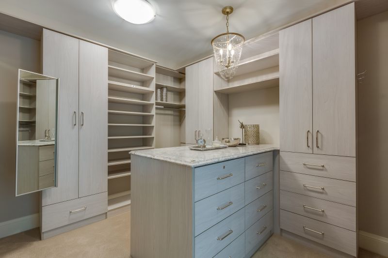 Cabinet Color Transformation