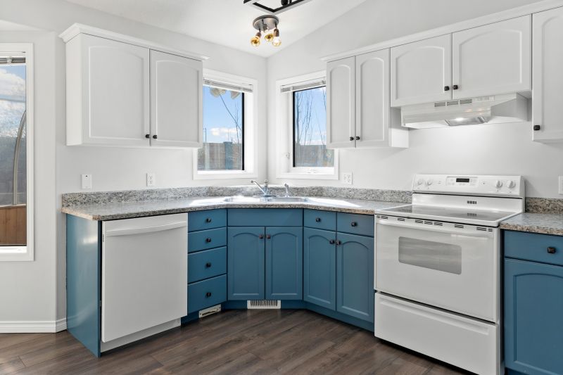 Cabinet Color Transformation